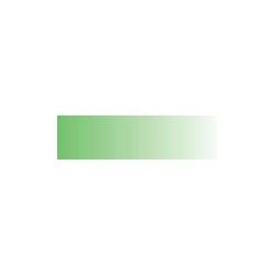Peinture Procolor bright green 30ml 62052