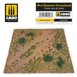 Dry Summer Grassland